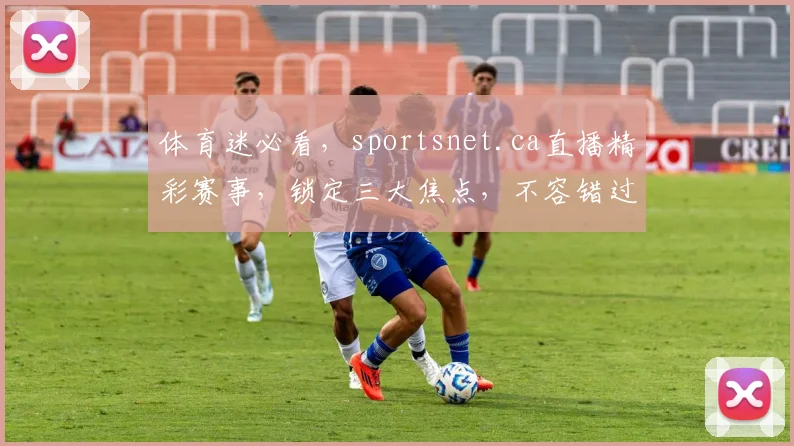 体育迷必看，sportsnet.ca直播精彩赛事，锁定三大焦点，不容错过