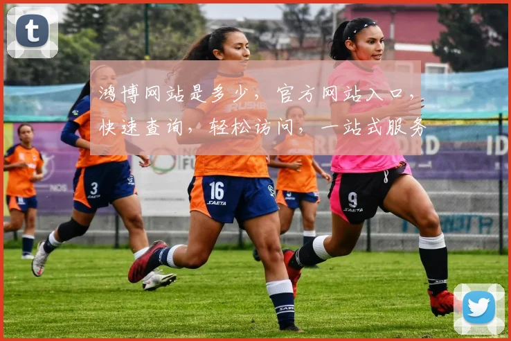鸿博网站是多少，官方网站入口，快速查询，轻松访问，一站式服务体验