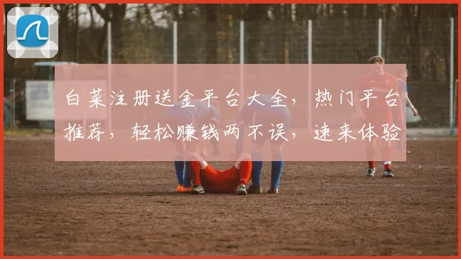 白菜注册送金平台大全，热门平台推荐，轻松赚钱两不误，速来体验