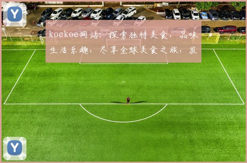 koekoe网站：探索独特美食，品味生活乐趣，尽享全球美食之旅，发现更多美味佳肴
