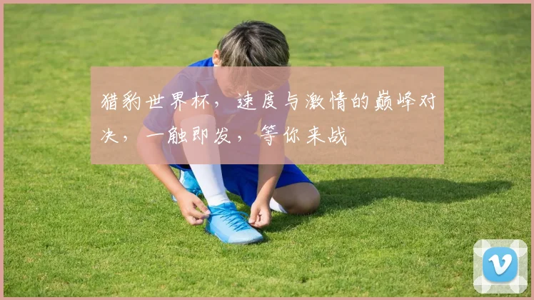 猎豹世界杯，速度与激情的巅峰对决，一触即发，等你来战